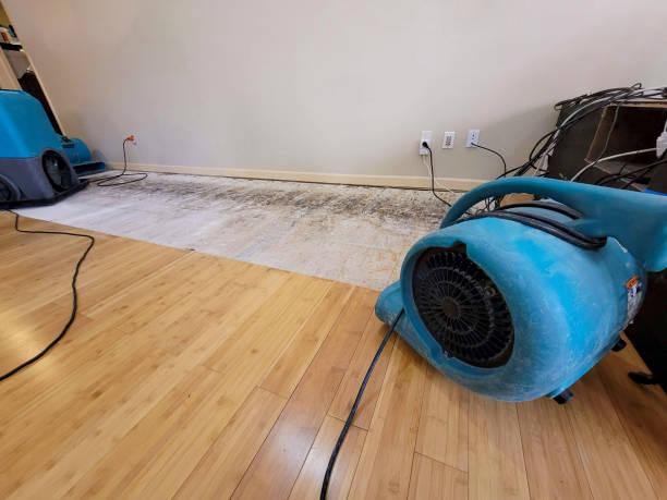 Professional Emergency Water Damage technician working in Bisbee, AZ